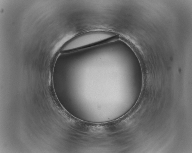 X0000088581317200706081113