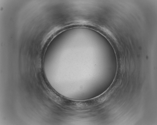 X0000088581318200706081113