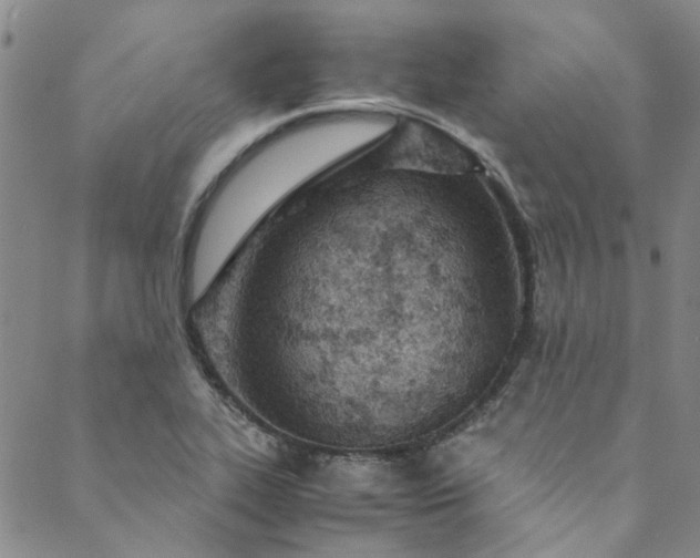 X0000088581319200706081113