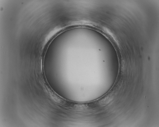 X0000088581320200706081113