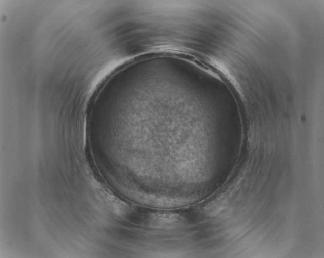 X0000088581323200706081113