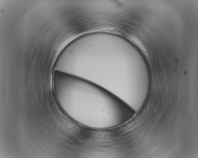 X0000088581324200706081113