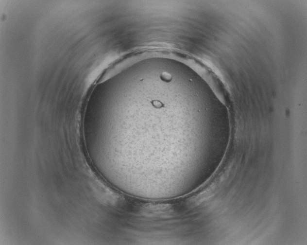 X0000088581325200706081113