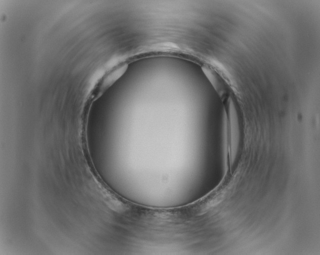 X0000088581326200706081113