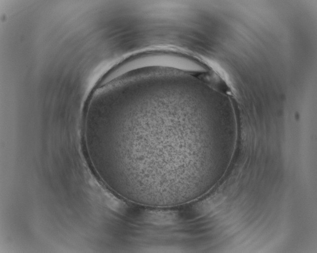 X0000088581327200706081113