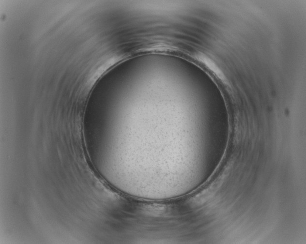 X0000088581329200706081113