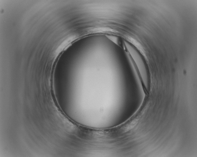 X0000088581330200706081113