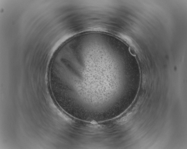 X0000088581331200706081113