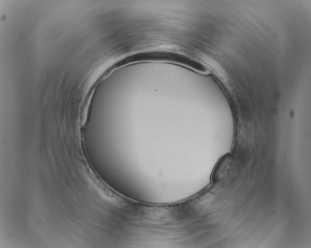 X0000088581332200706081113