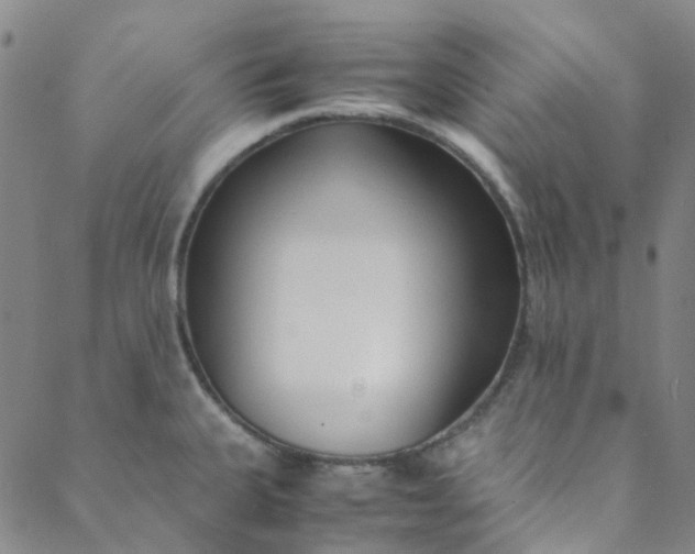 X0000088581335200706081113