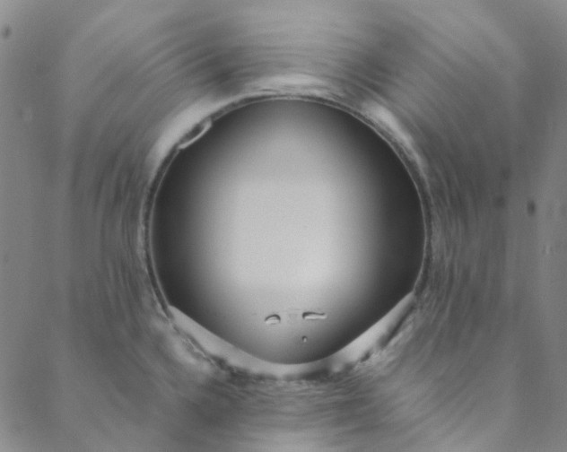 X0000088581336200706081113