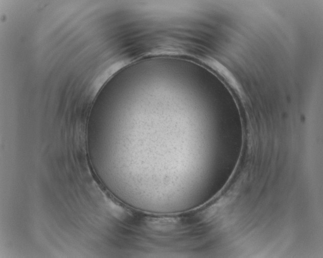 X0000088581337200706081113