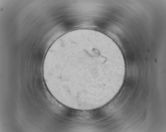 X0000088581338200706081113