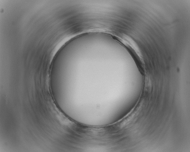 X0000088581340200706081113