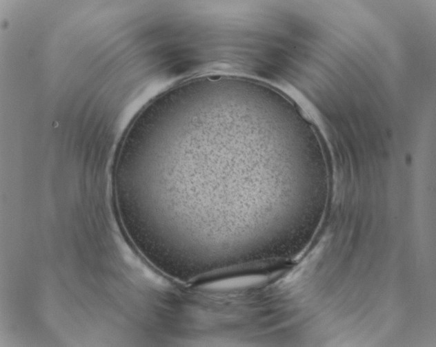 X0000088581341200706081113