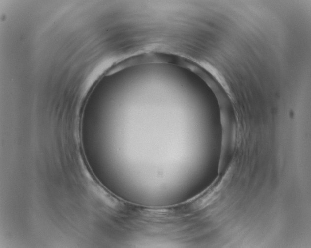 X0000088581342200706081113