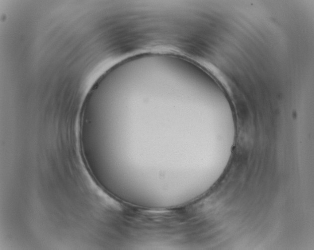 X0000088581343200706081113