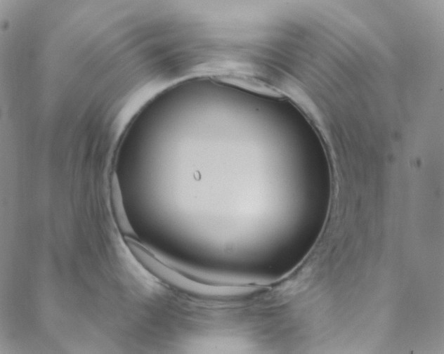 X0000088581344200706081113