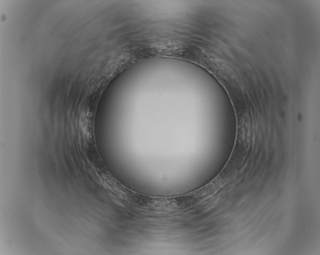 X0000088581346200706081112