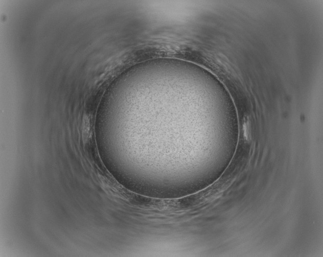 X0000088581347200706081112