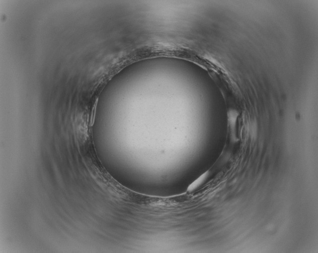 X0000088581348200706081112