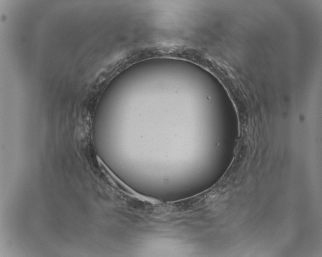 X0000088581349200706081112