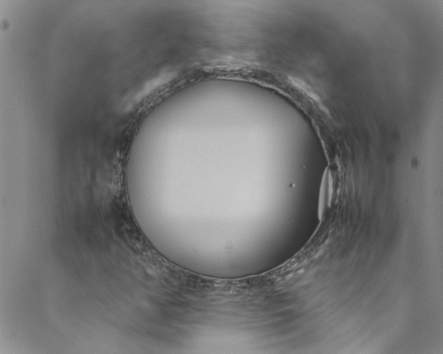 X0000088581350200706081112