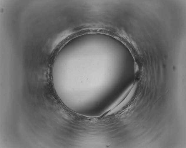 X0000088581352200706081112