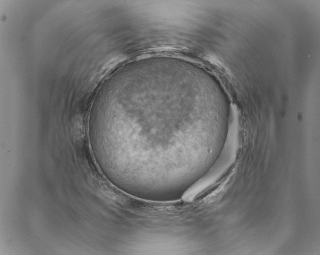 X0000088581353200706081112