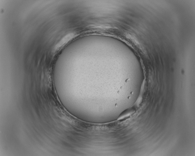 X0000088581354200706081112