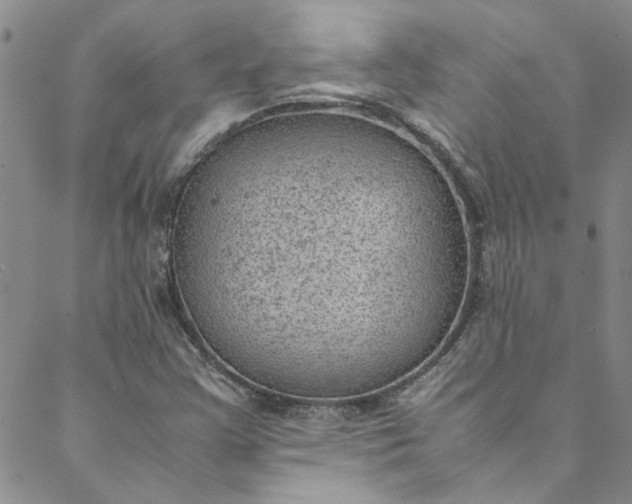 X0000088581355200706081112