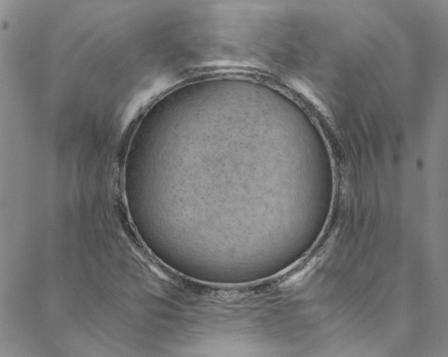 X0000088581357200706081112