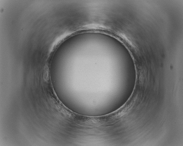 X0000088581358200706081112