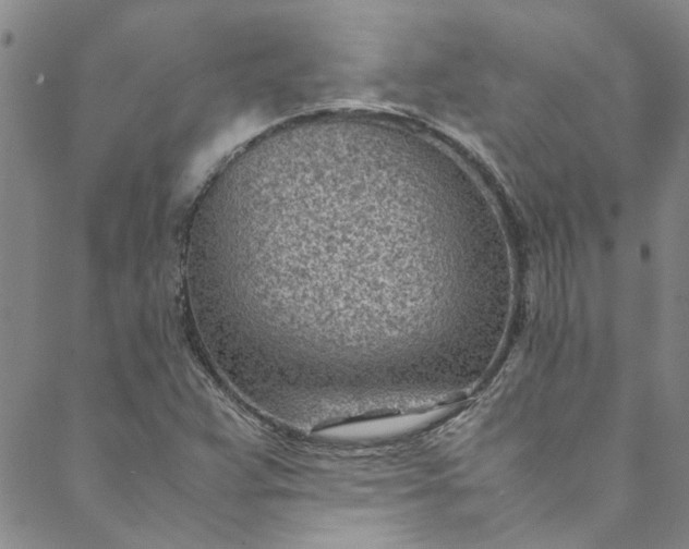 X0000088581359200706081112