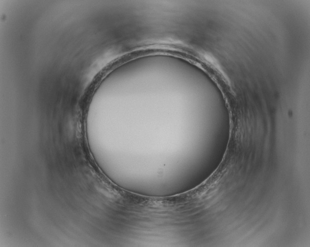 X0000088581360200706081112