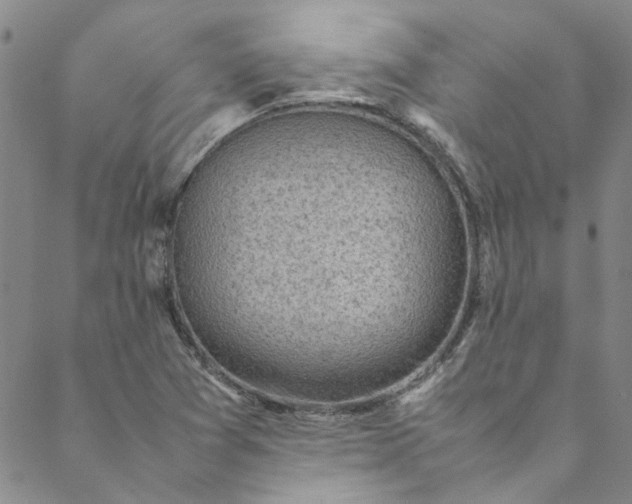 X0000088581361200706081112