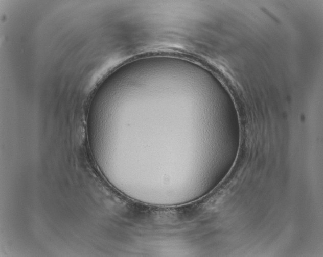 X0000088581363200706081112