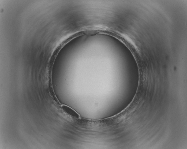 X0000088581364200706081112