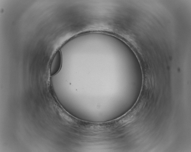 X0000088581366200706081112