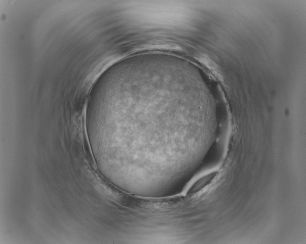 X0000088581369200706081112