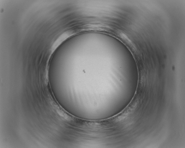 X0000088581370200706081112