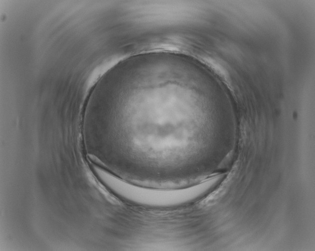 X0000088581373200706081112