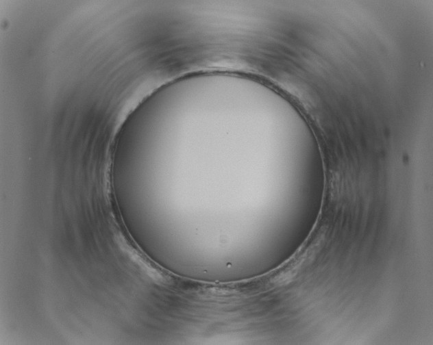 X0000088581374200706081112