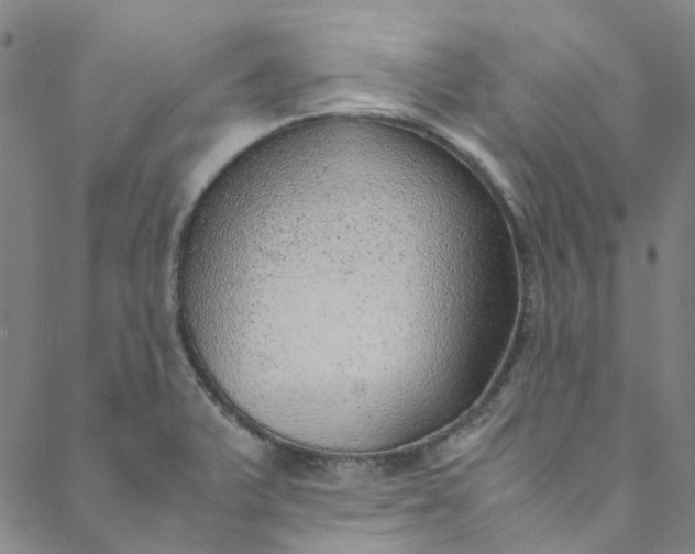 X0000088581375200706081112