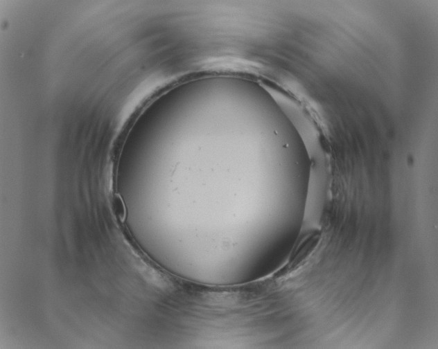 X0000088581376200706081112