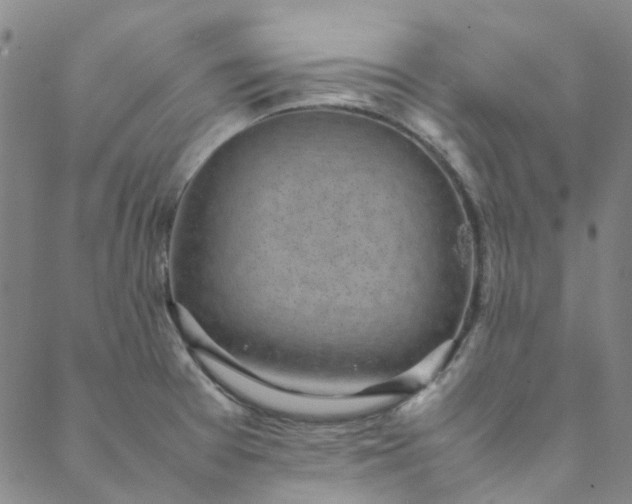 X0000088581377200706081112