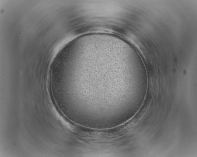 X0000088581379200706081112