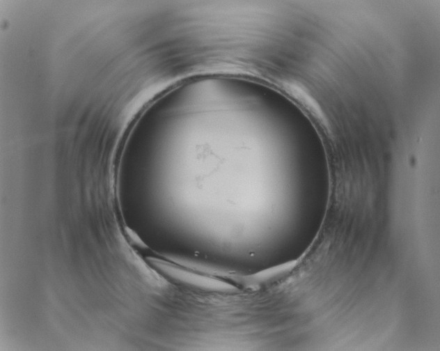 X0000088581380200706081112