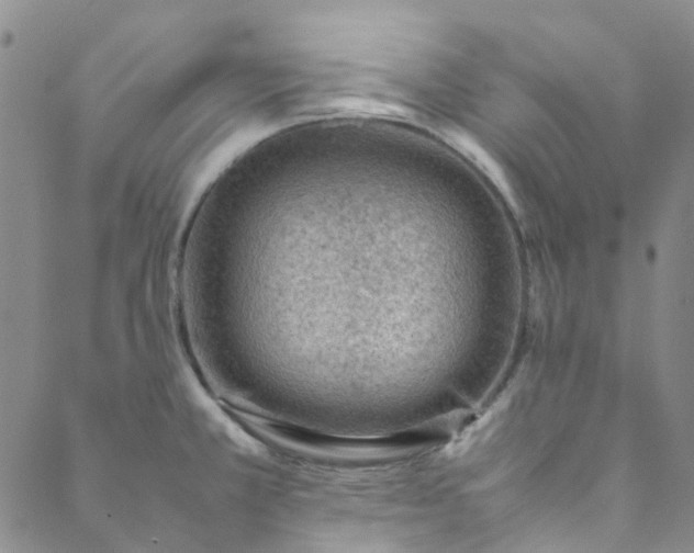 X0000088581381200706081112