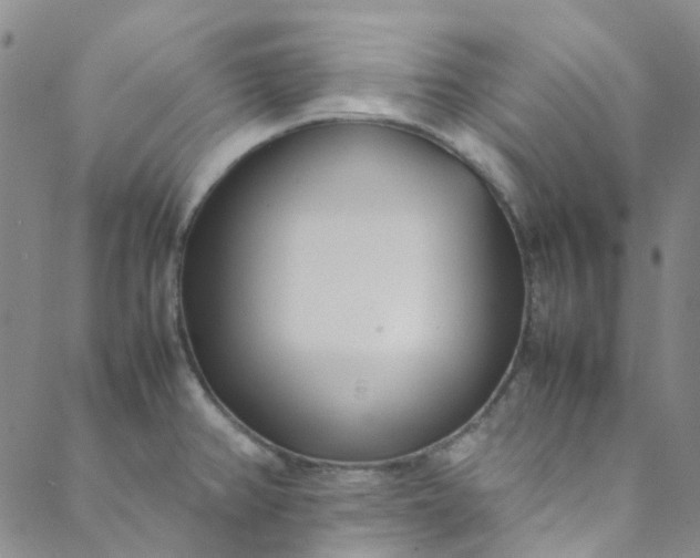 X0000088581382200706081112